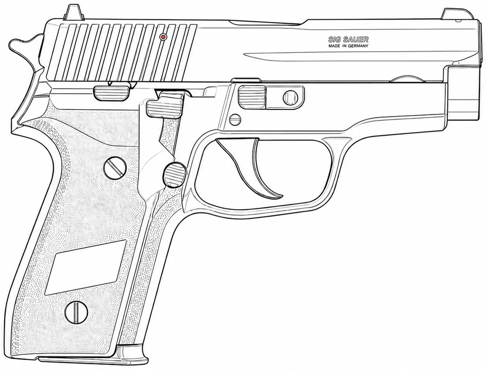 SIG Sauer P228